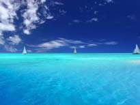 122cc太阳集成游戏(中国)有限公司官网